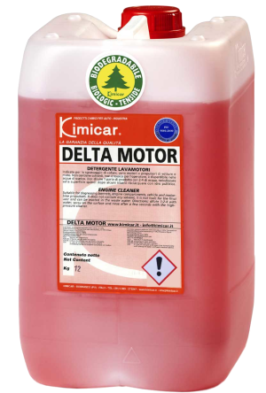 Delta Motor